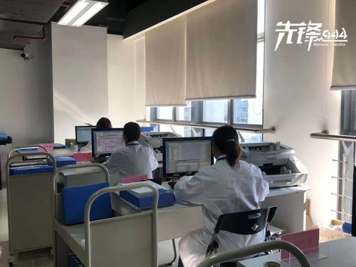 檔案是什么，又應該如何保存？福州市檔案局給你答案——承接檔案服務外包須知